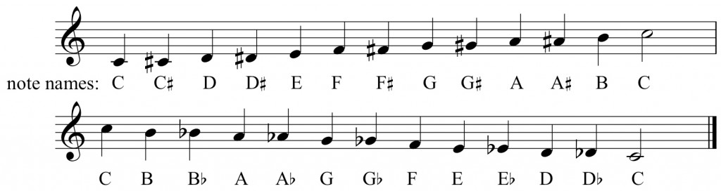 Chromatic scale, indicating stepped pitch variations (one-dimensional axis)